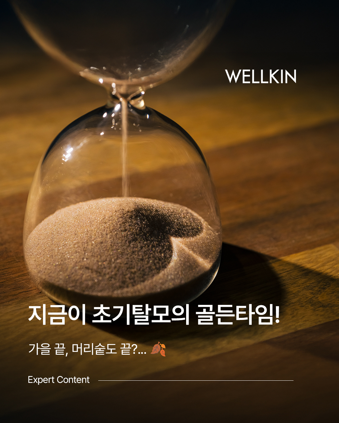 웰킨 두피탈모센터 종로점 대표 이미지