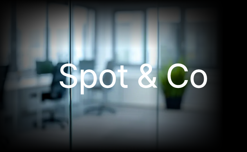 스팟앤코 대표 이미지