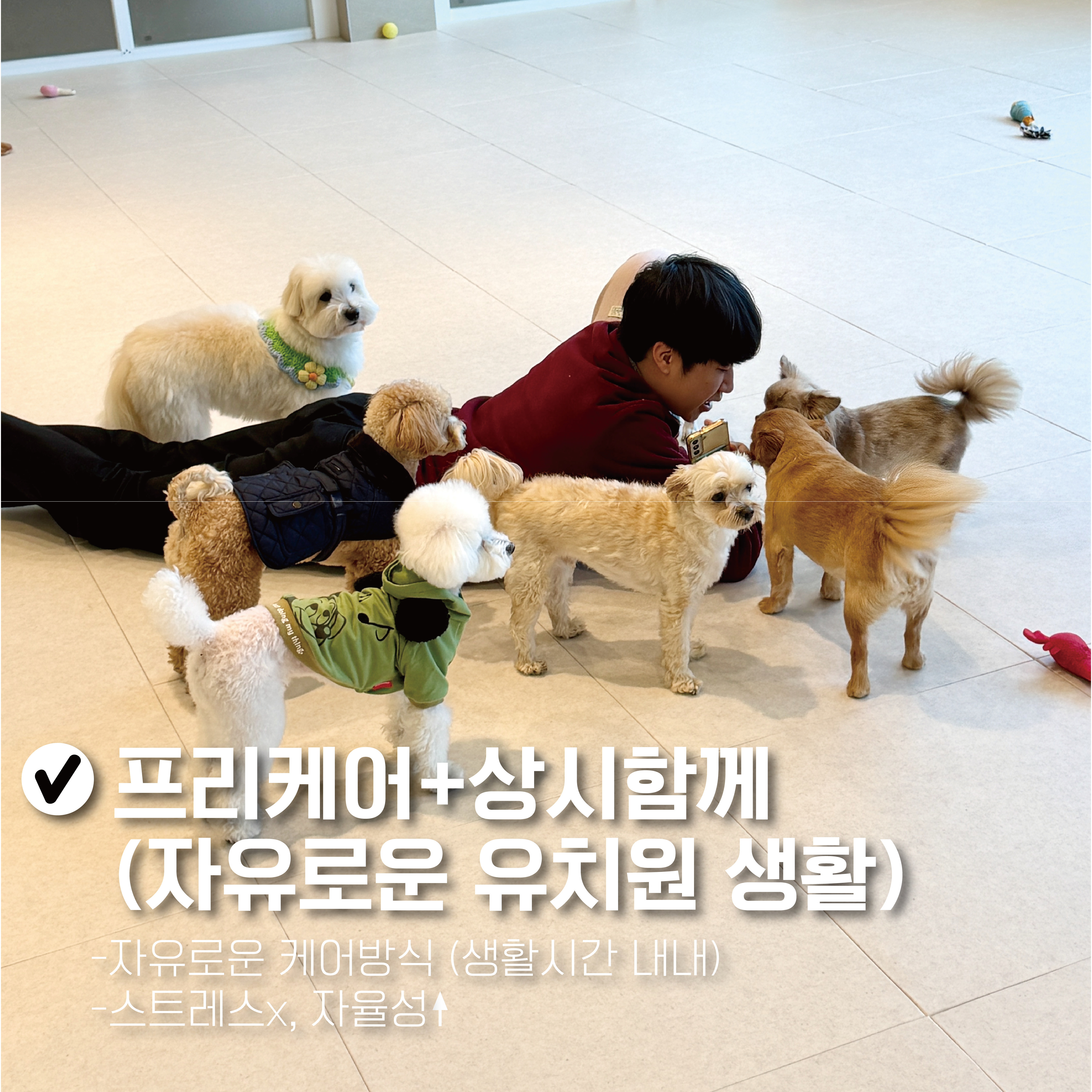 펫타리움 청담 3