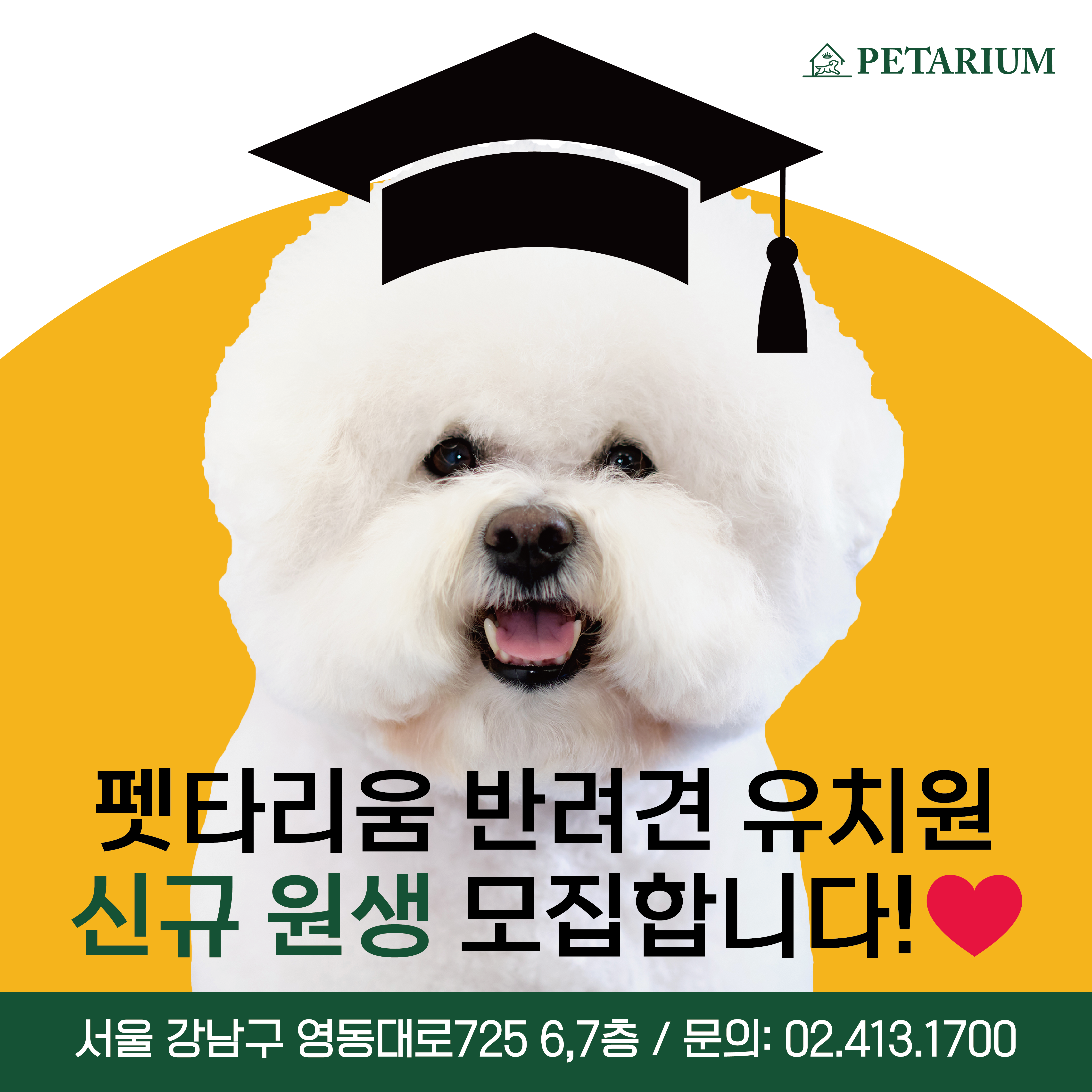 펫타리움 대표 이미지
