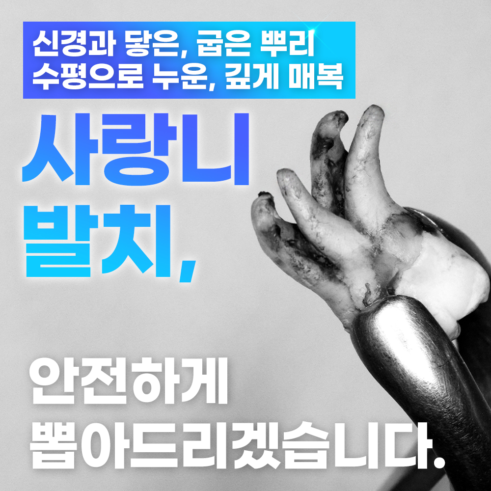 찬스플란트치과 이미지