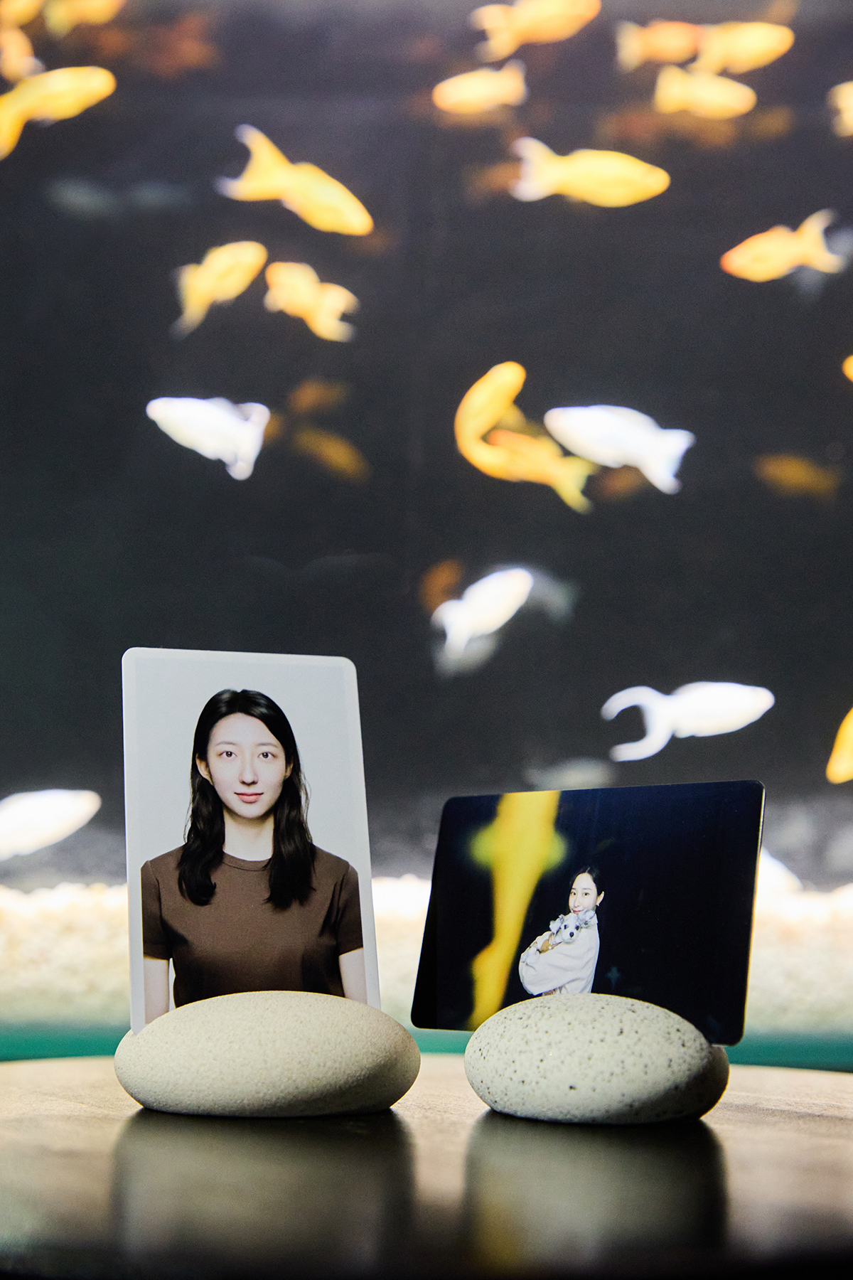 코코필름 대표 이미지