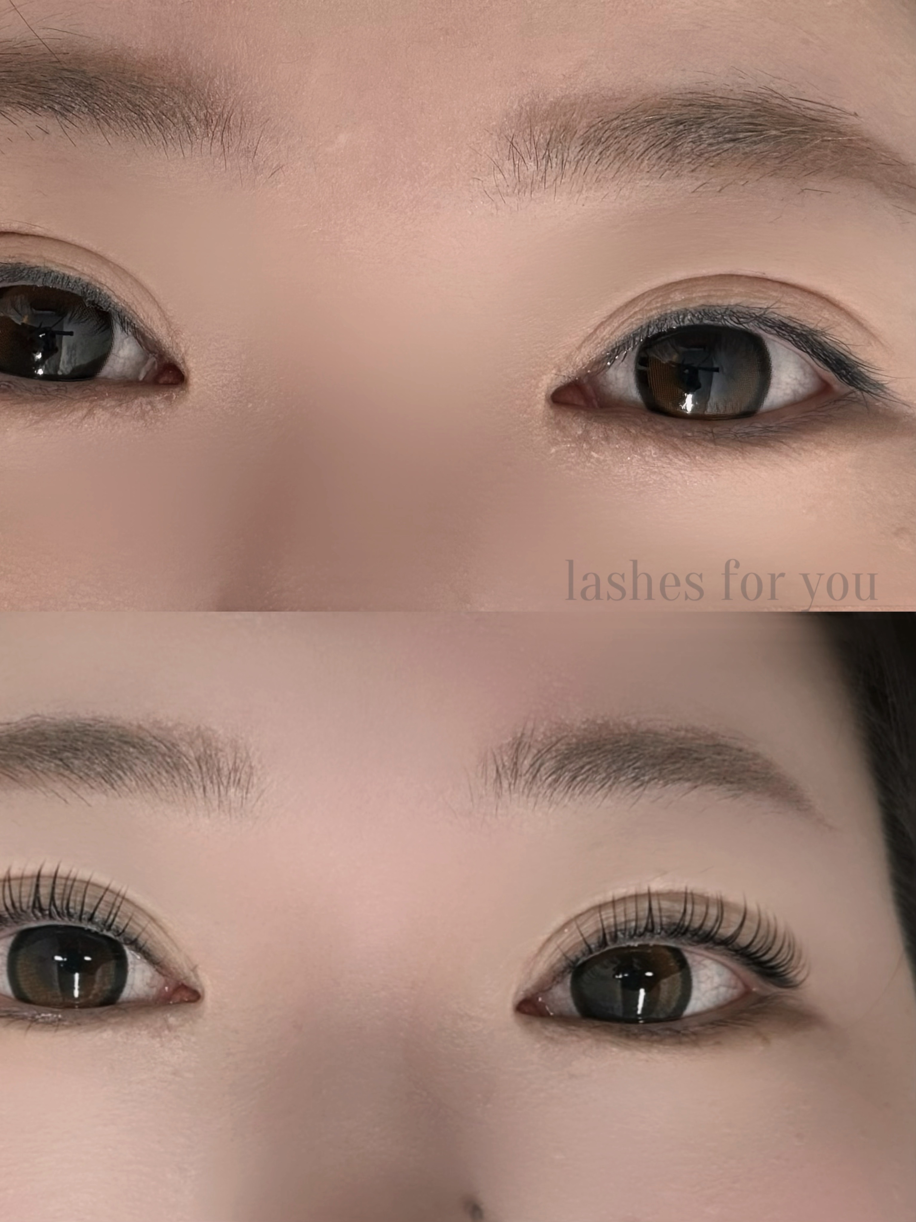 래쉬포유 대표 이미지