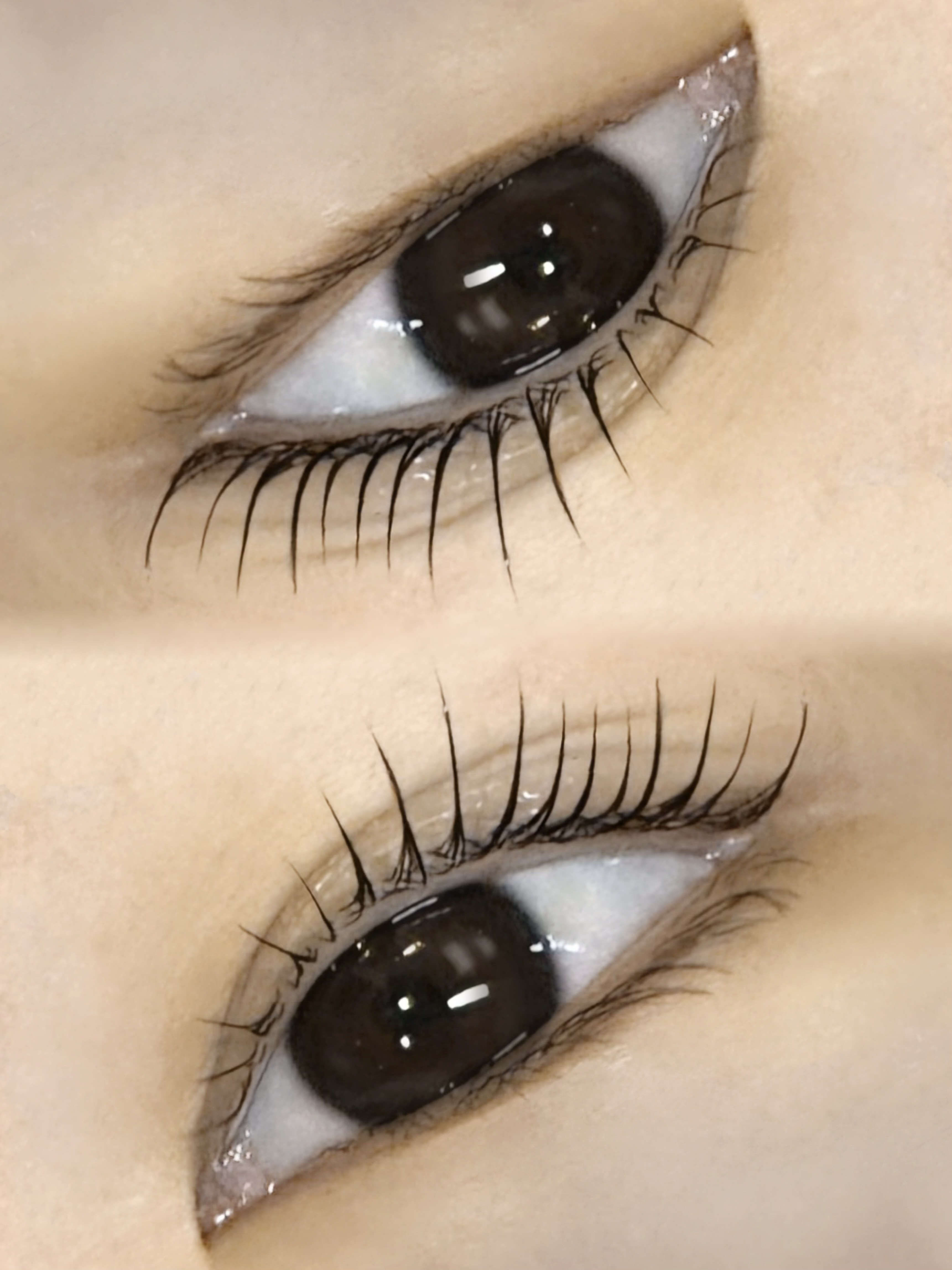 벨르뷰티 대표 이미지