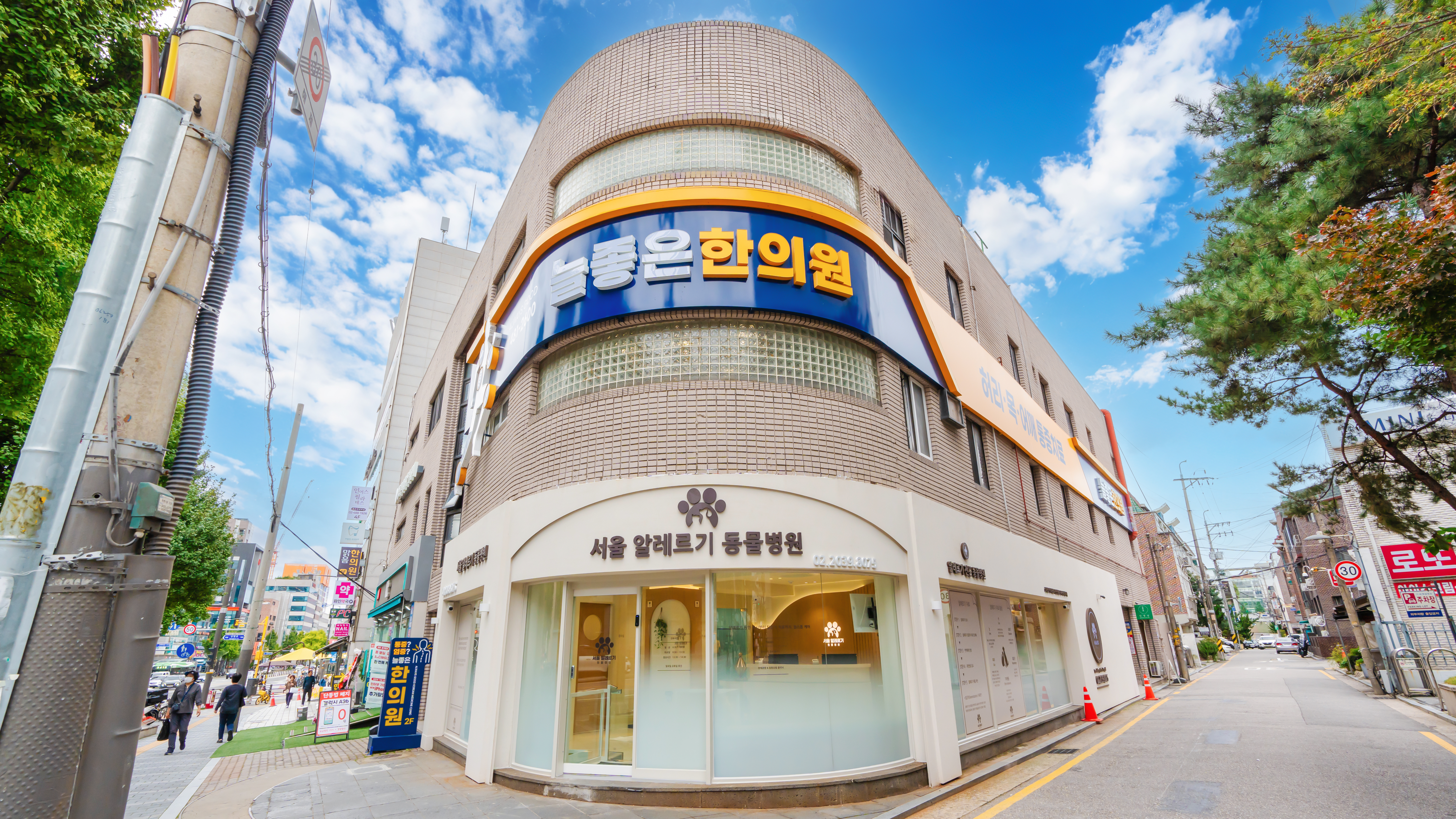 서울알레르기동물병원 대표 이미지
