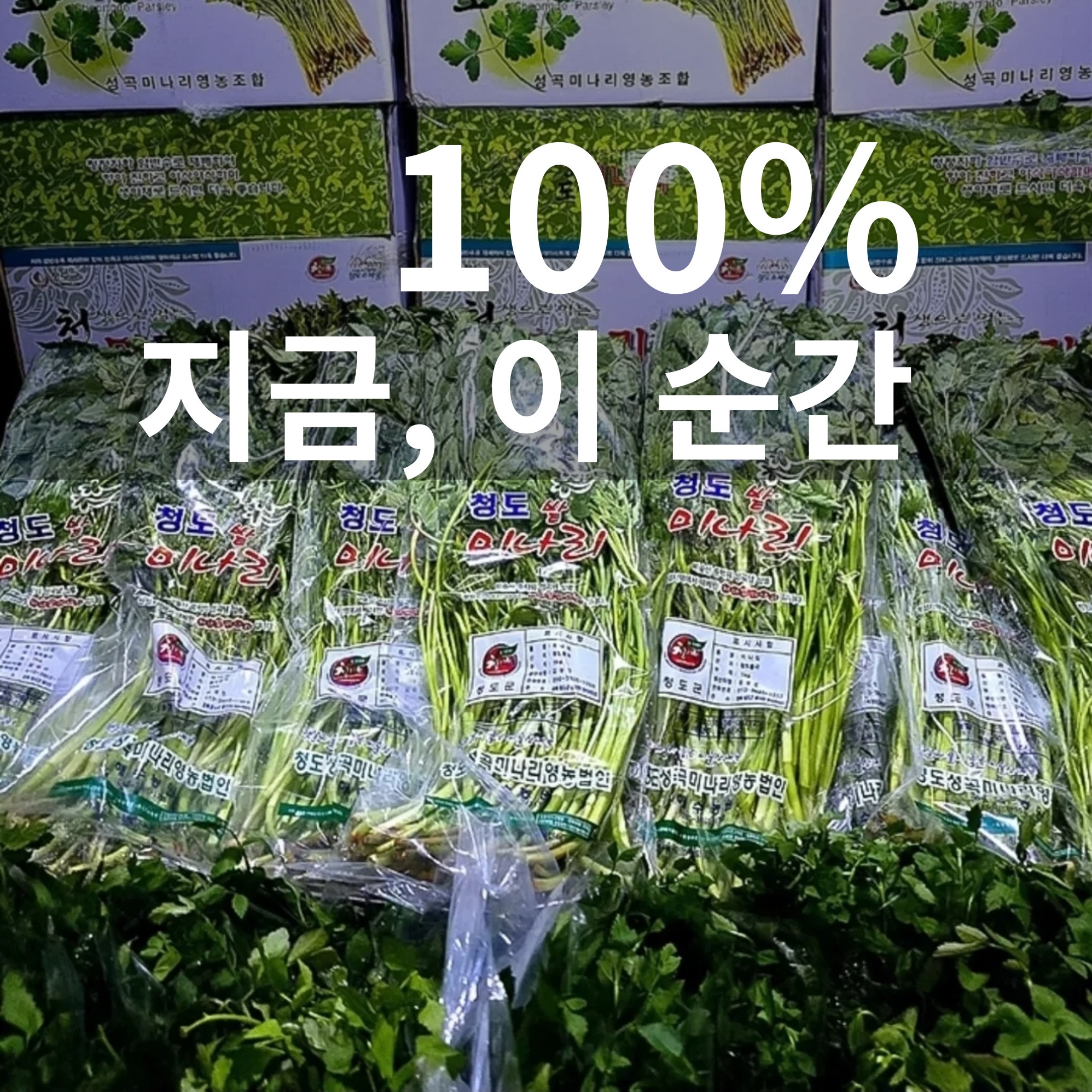 고기굽는남자 고성점