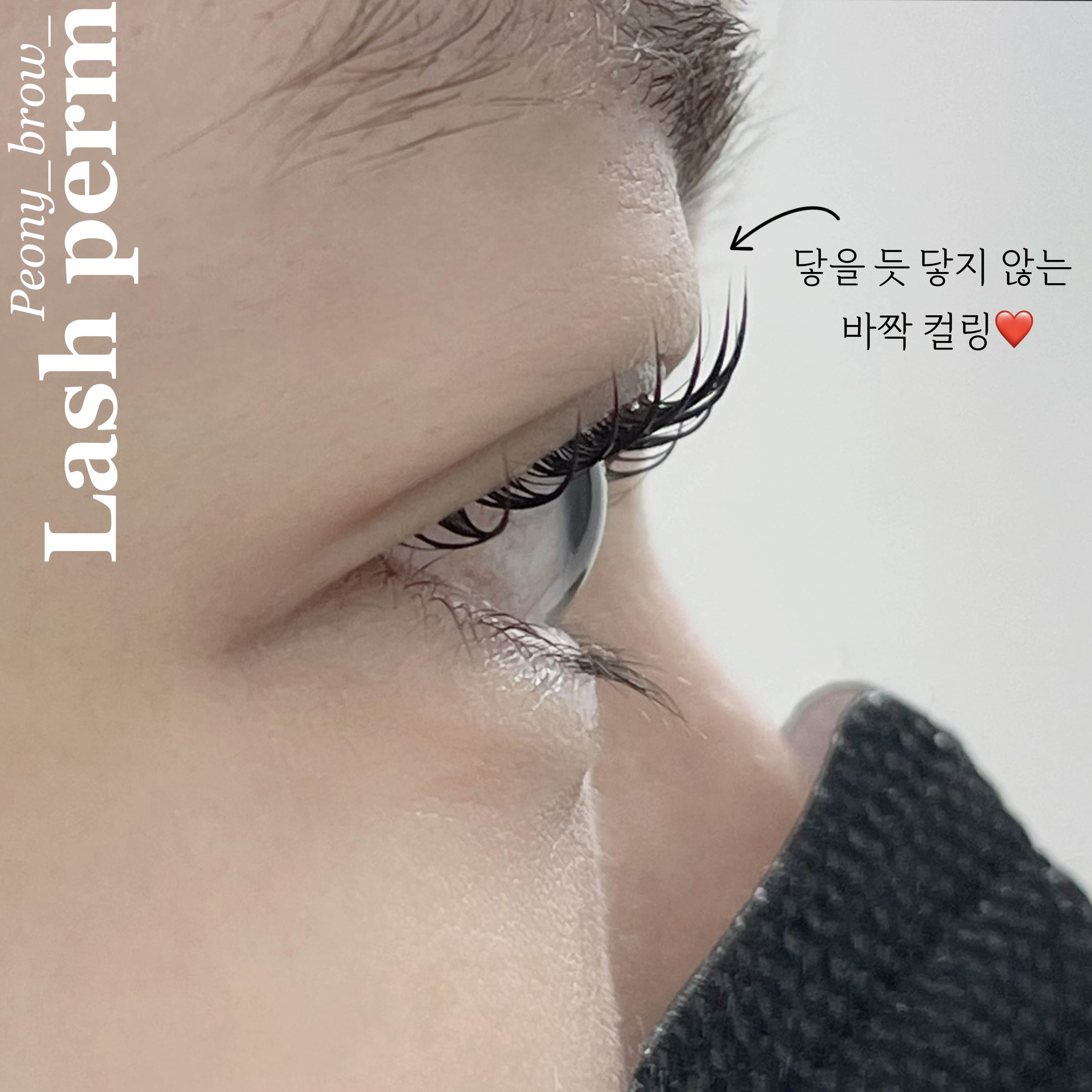 피오니 브로우 대표 이미지