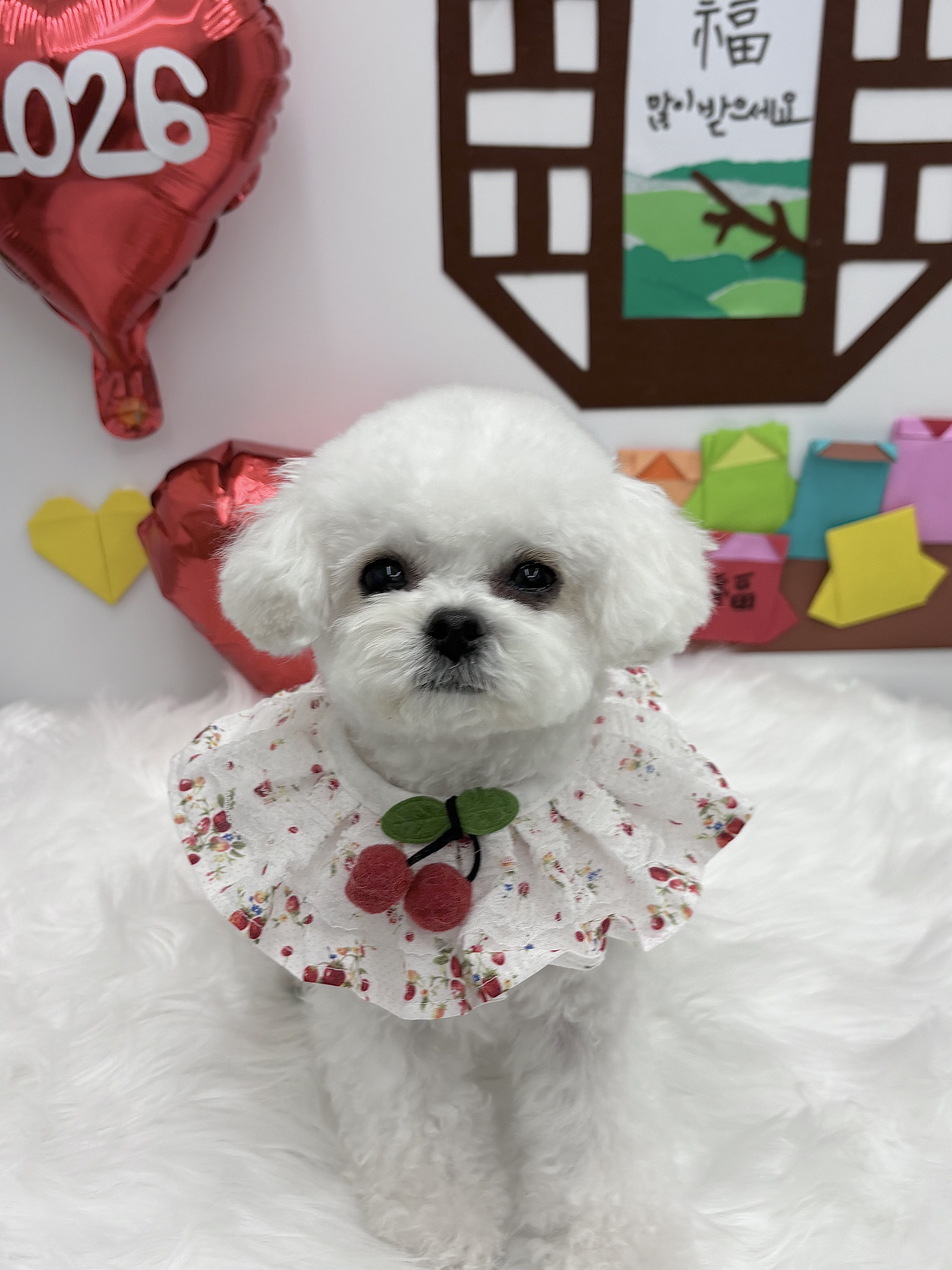 헬로우버디 대표 이미지