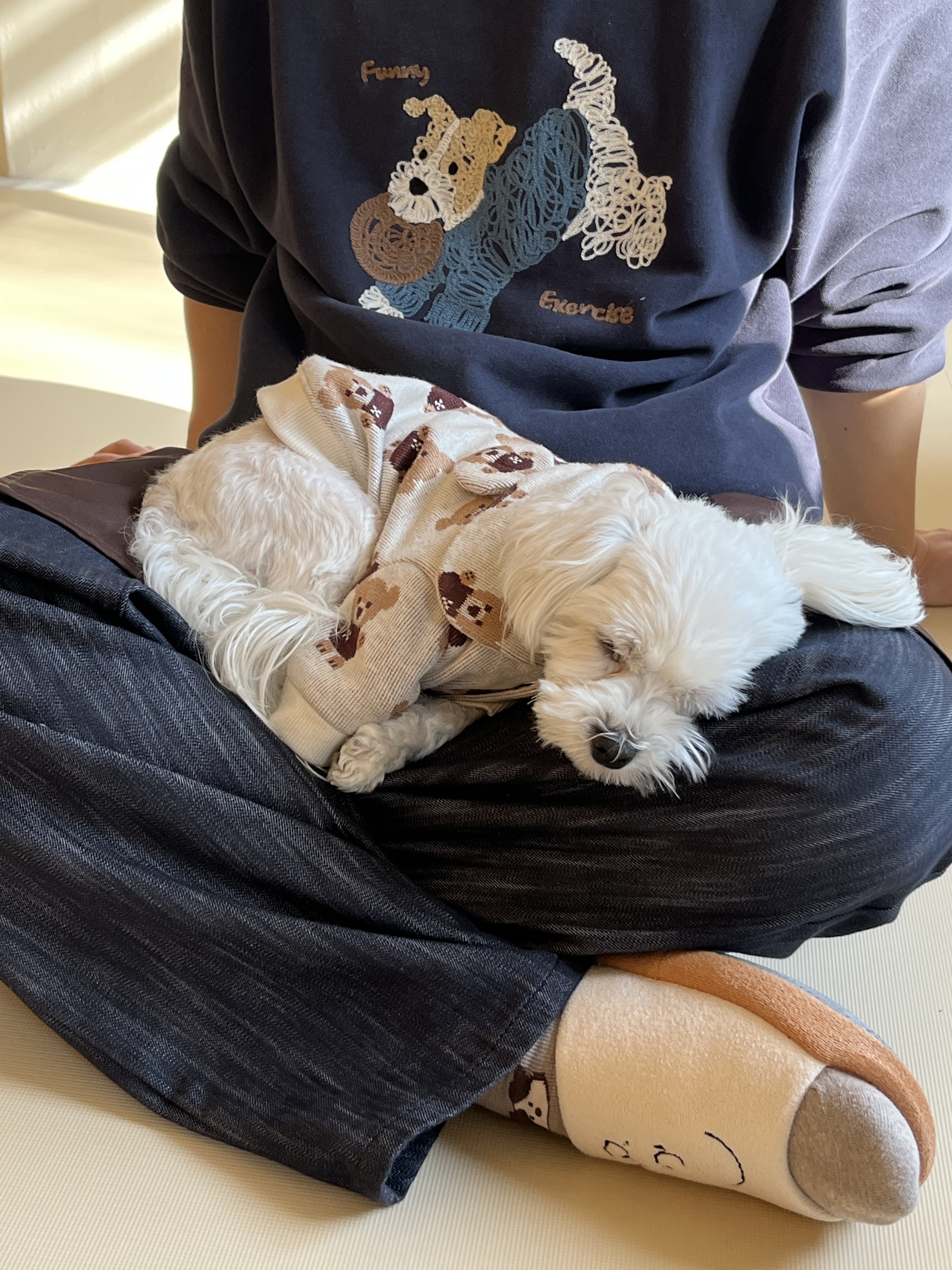 멍뭉멍뭉 대표 이미지