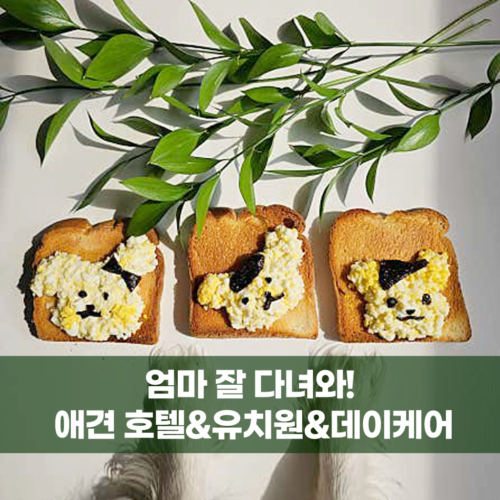 엄마 잘다녀와 대표 이미지