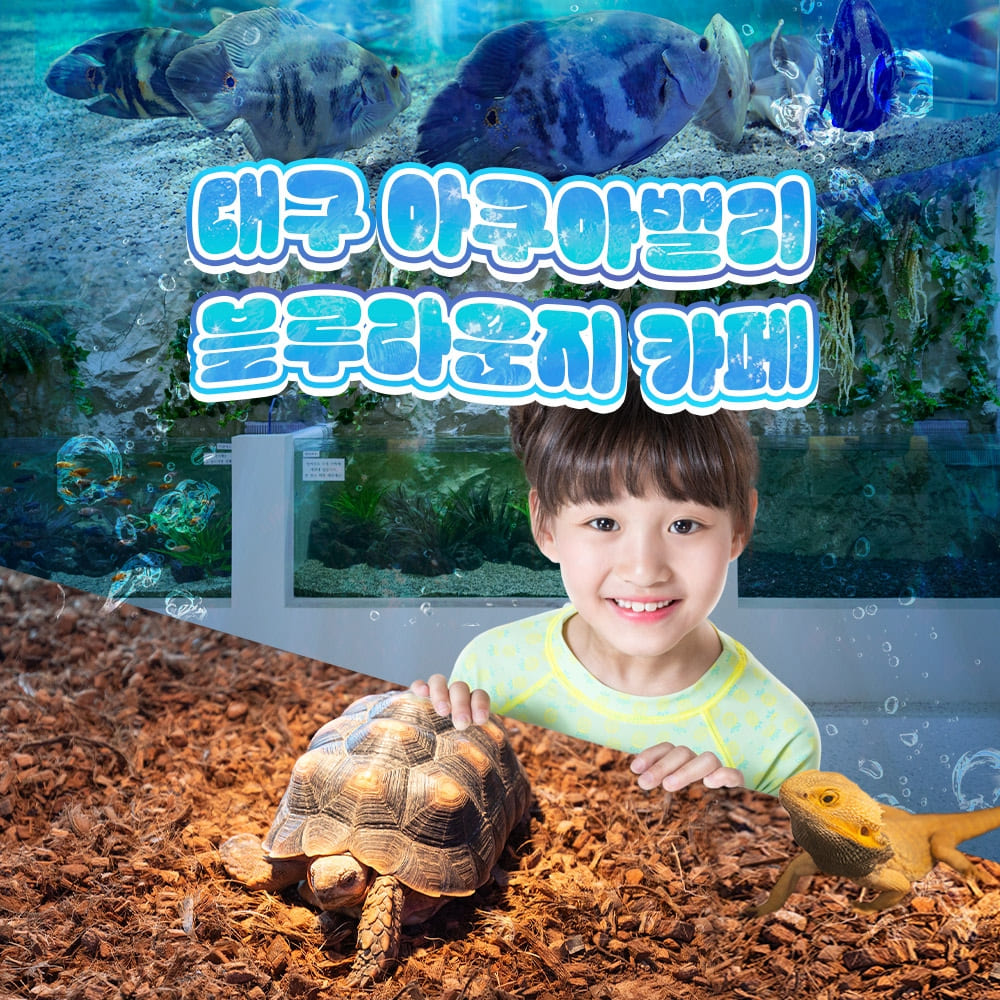 아쿠아밸리 블루 라운지 동성로점