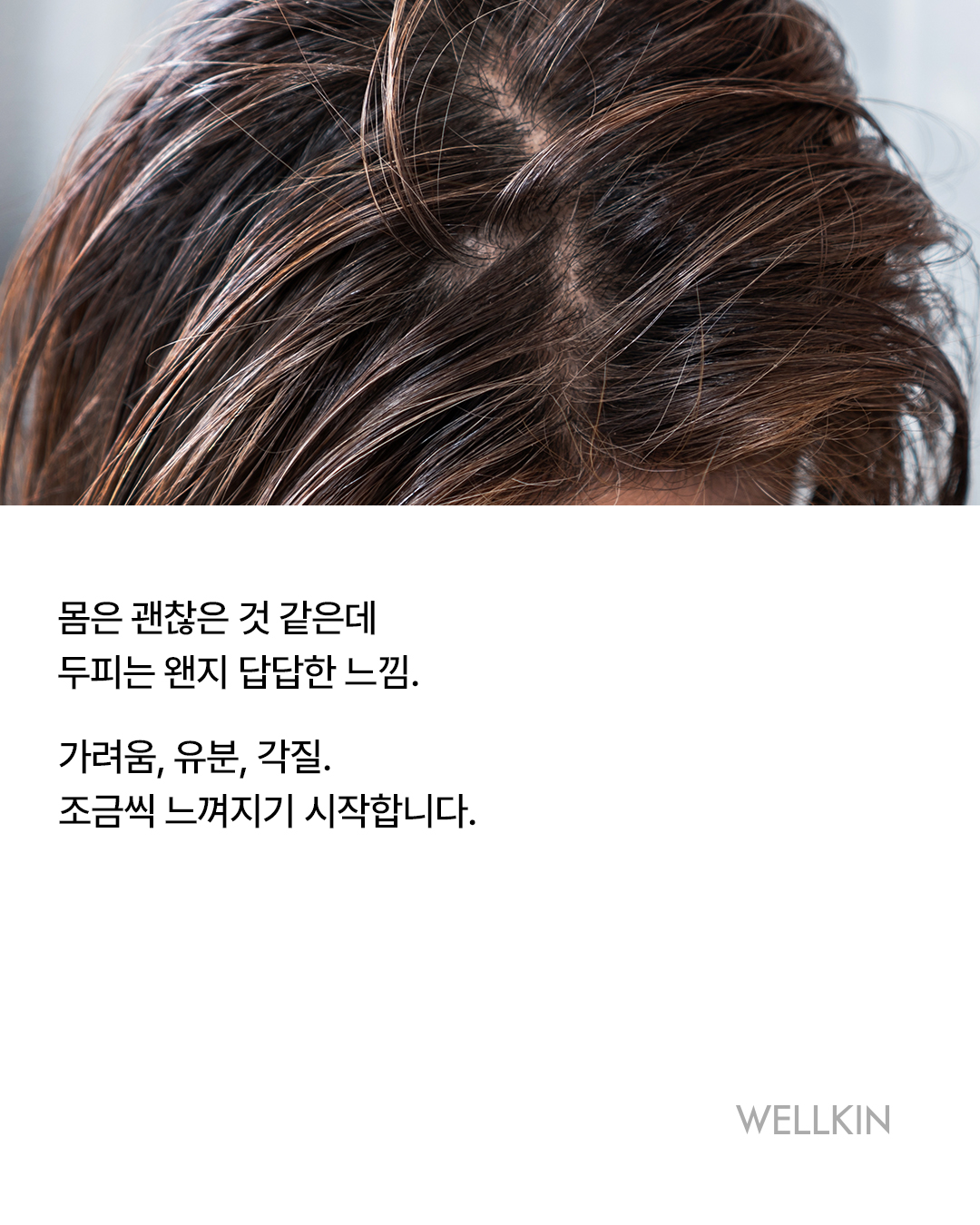 웰킨 종로점 대표 이미지