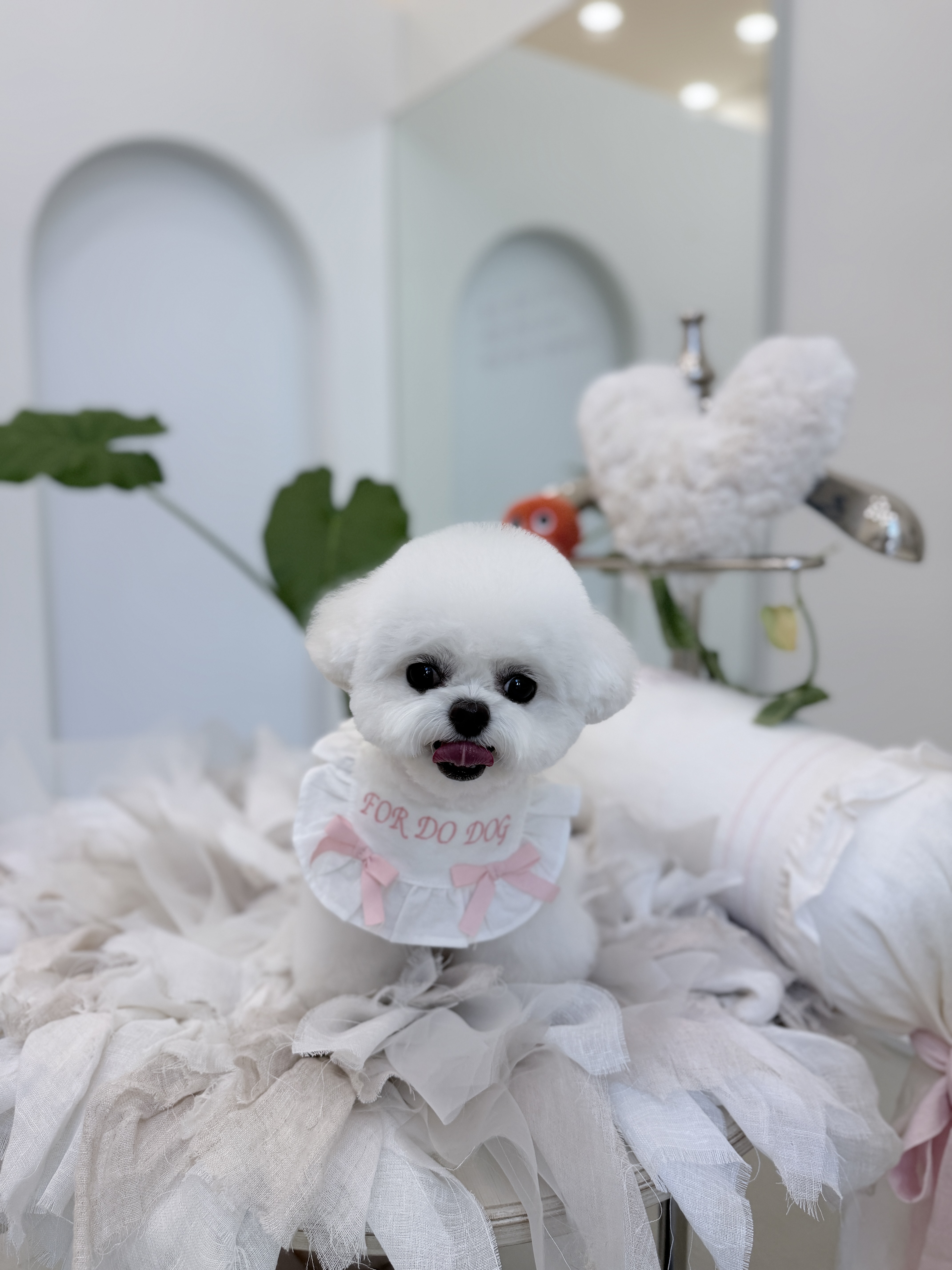 몽구구 대표 이미지