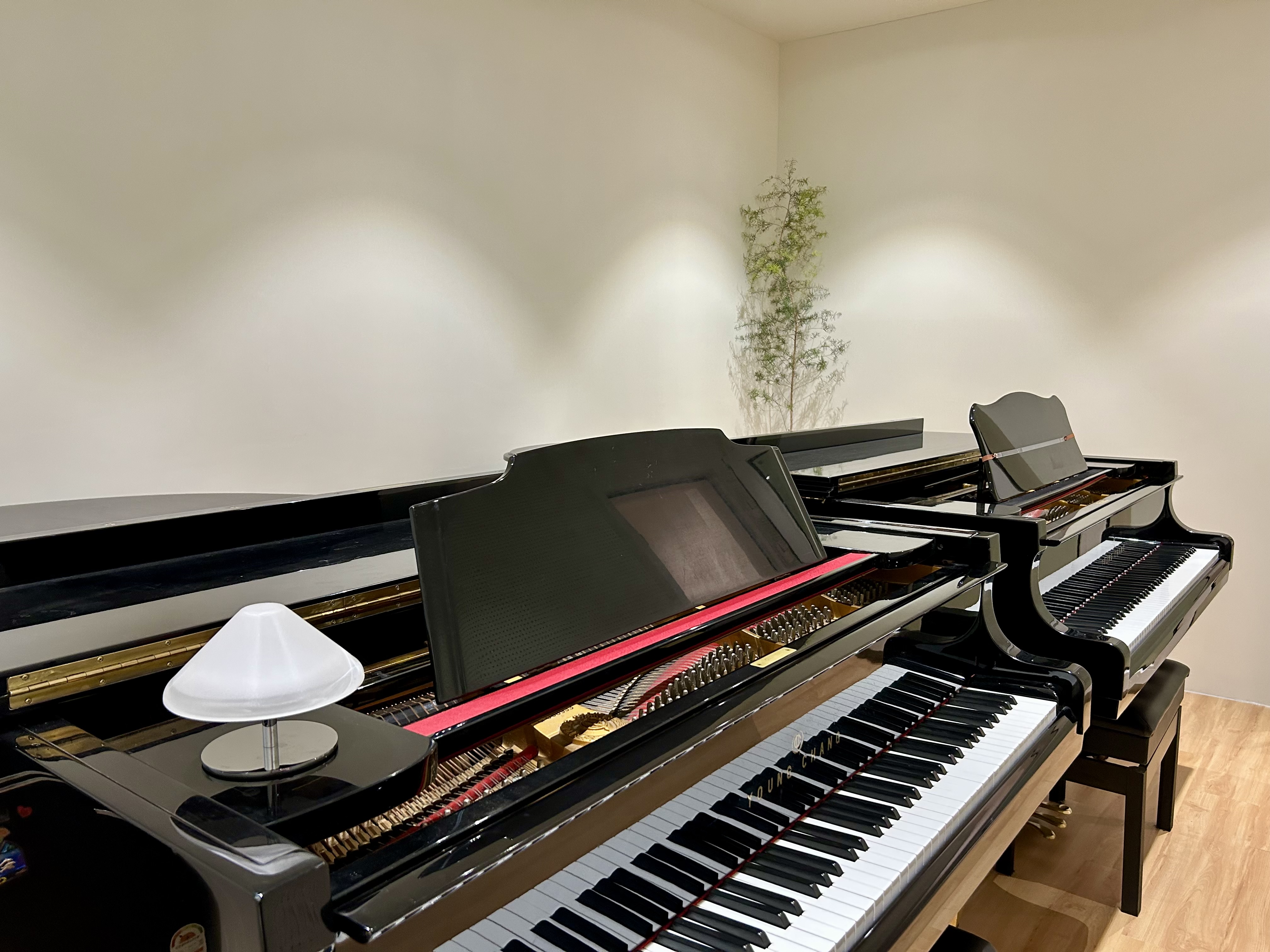 1번째 스튜디오 사진