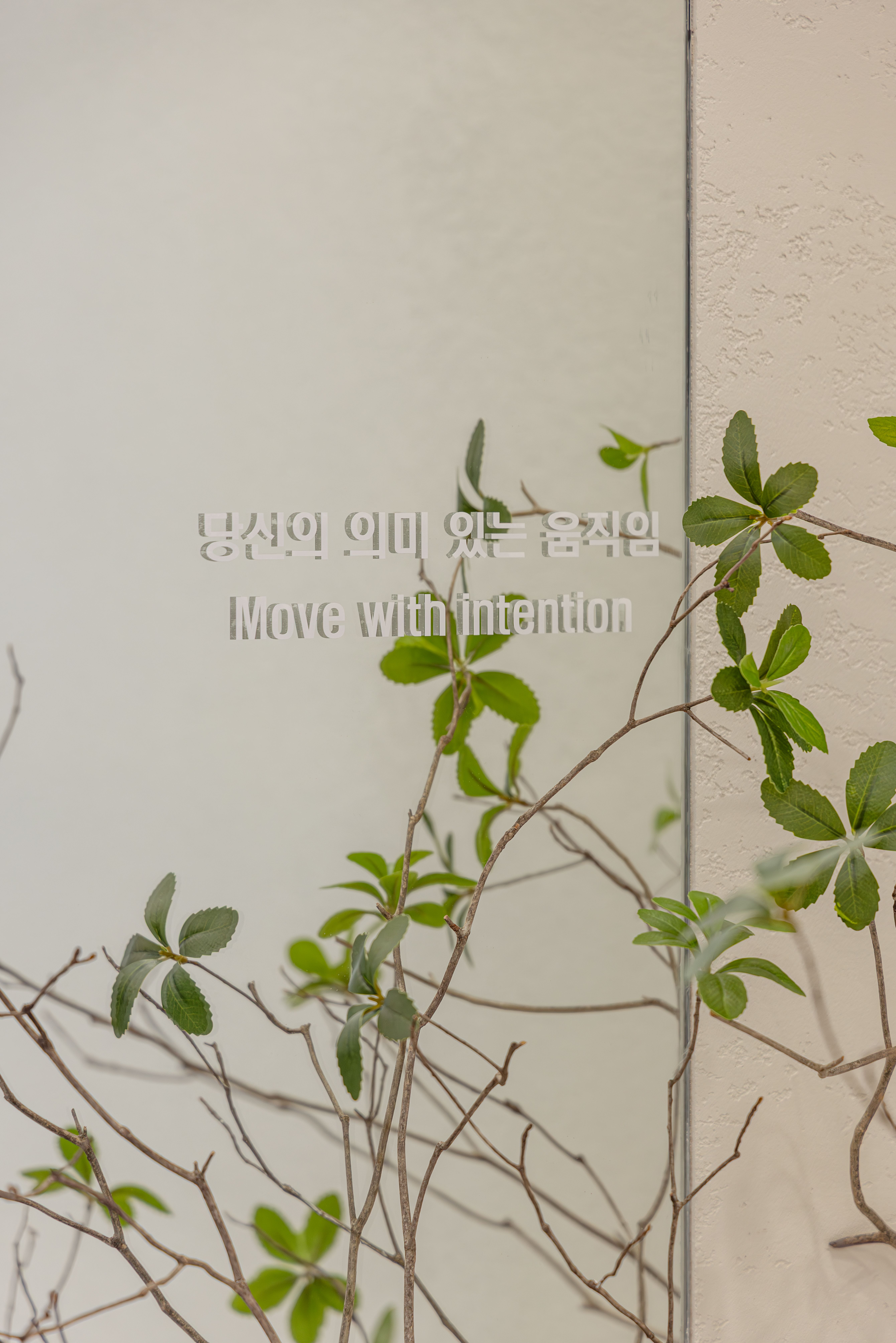 새온필라테스 대표 이미지