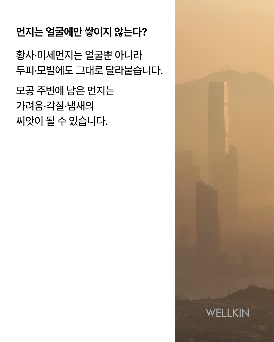 웰킨 종로점 대표 이미지