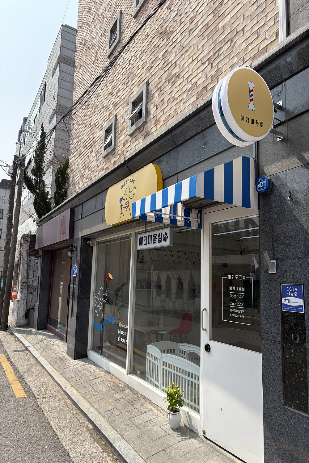 퍼지도그 대표 이미지