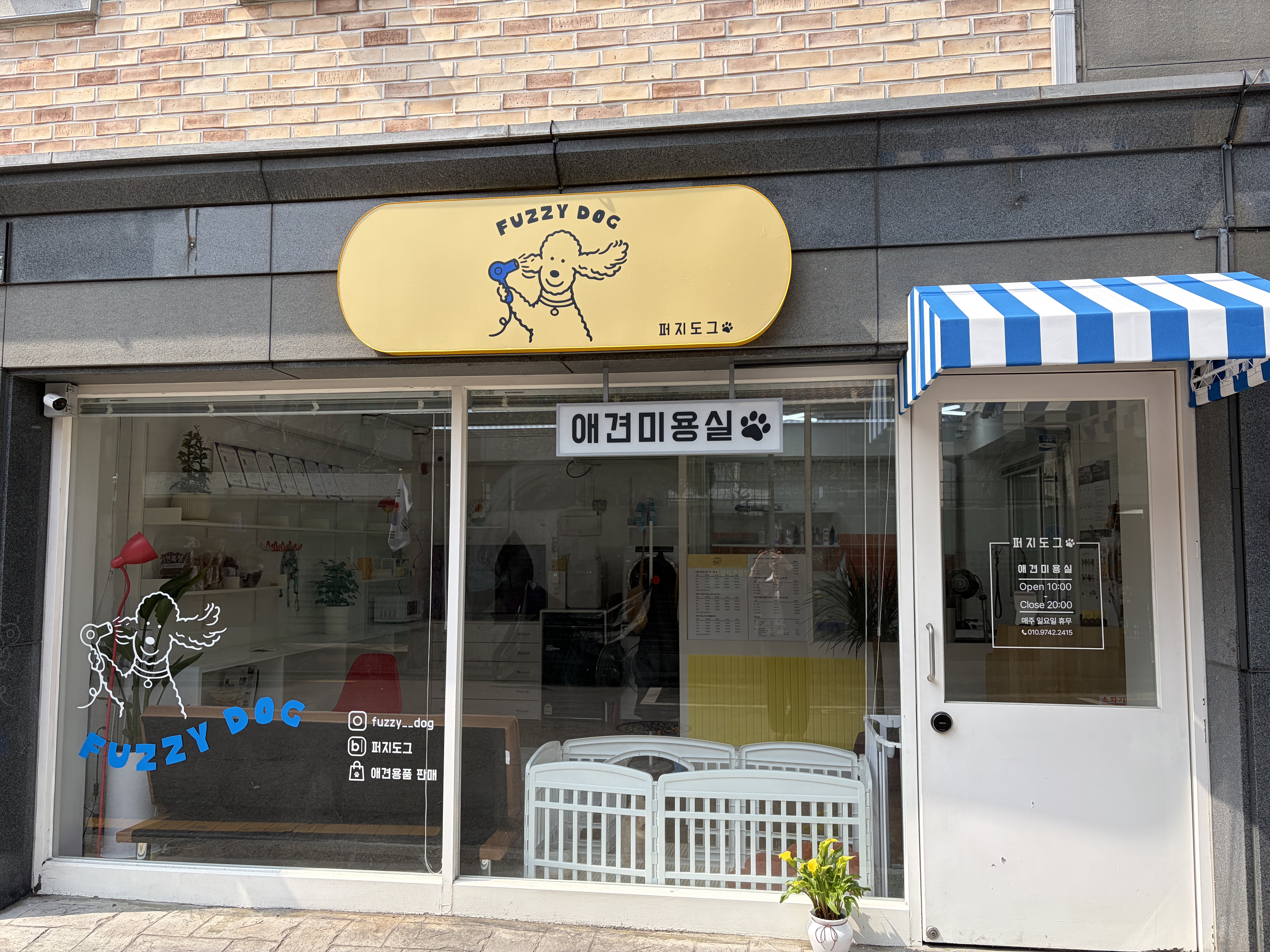 퍼지도그 대표 이미지