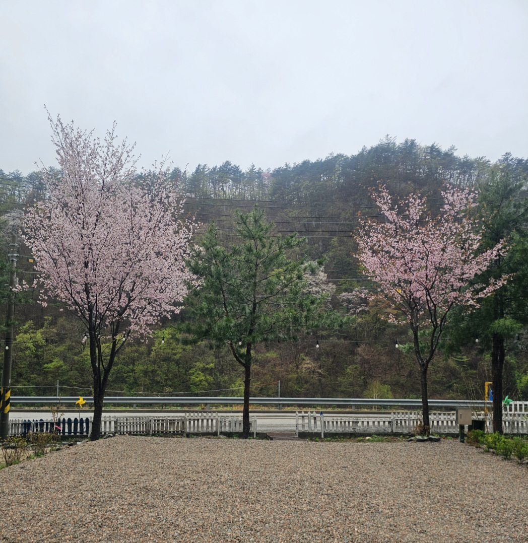 사진 3