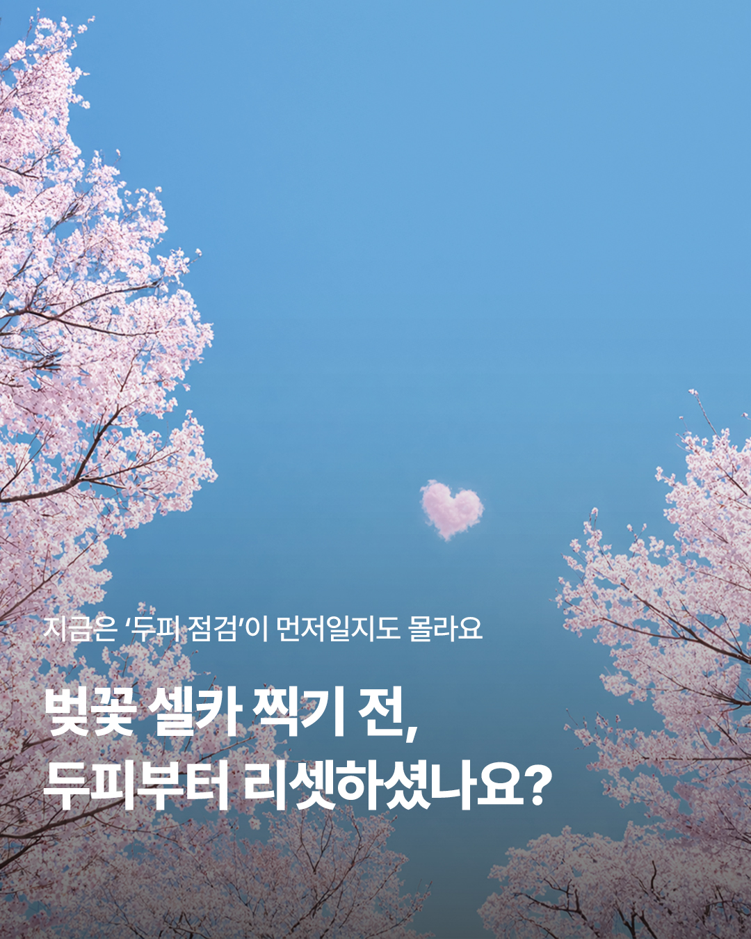 웰킨 두피탈모센터 종로점 대표 이미지