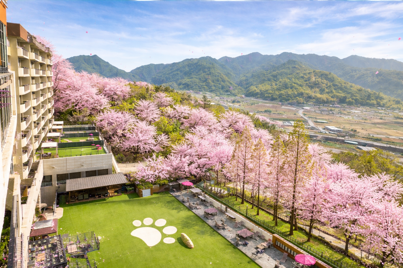 켄싱턴리조트 충주 반려동물 동반 애견카페