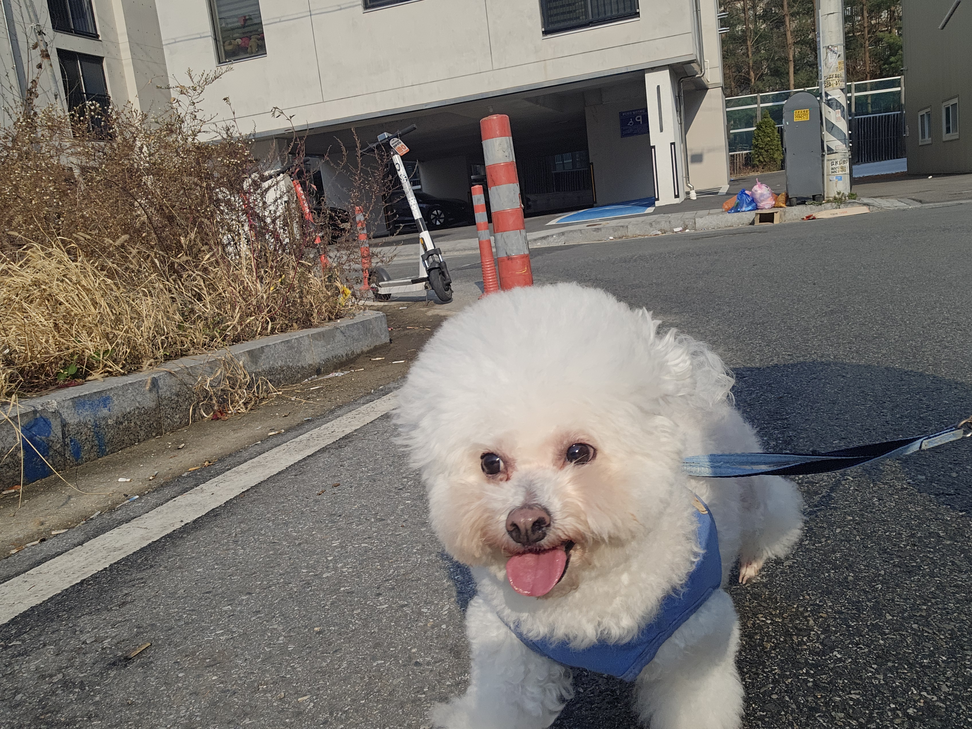 멍그니엘 대표 이미지