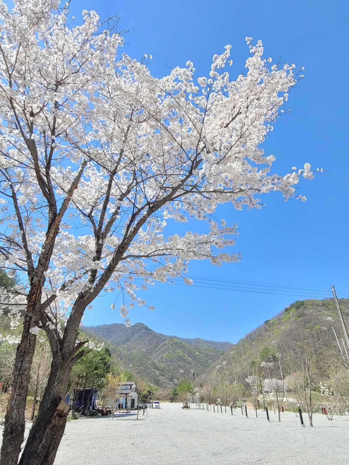 사진 4