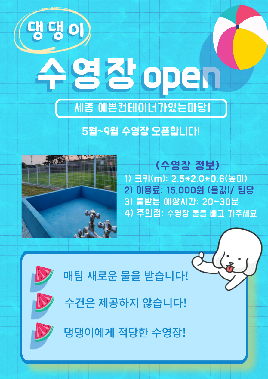 예쁜컨테이너가있는마당 반려동물 동반 애견카페