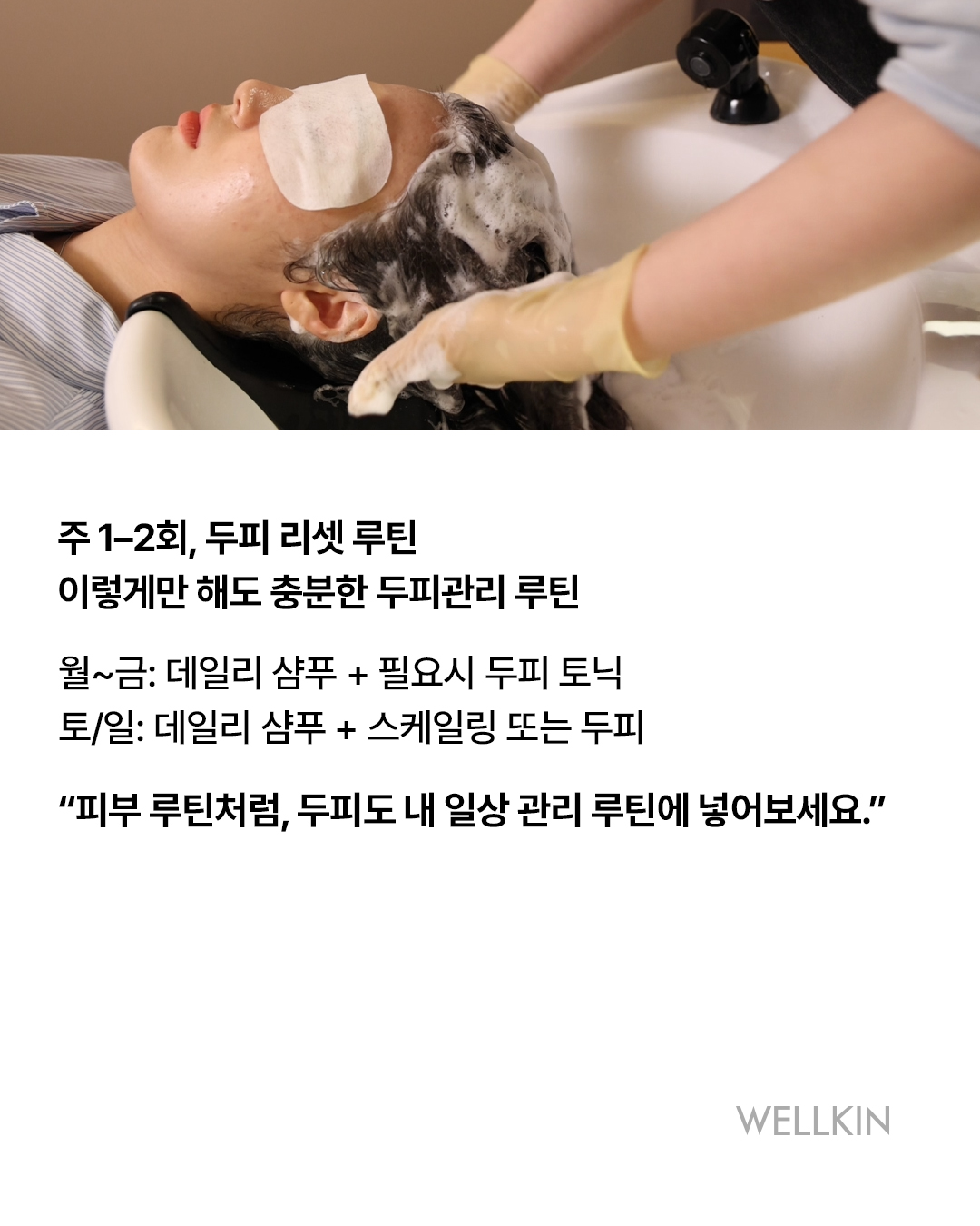웰킨 종로점 대표 이미지