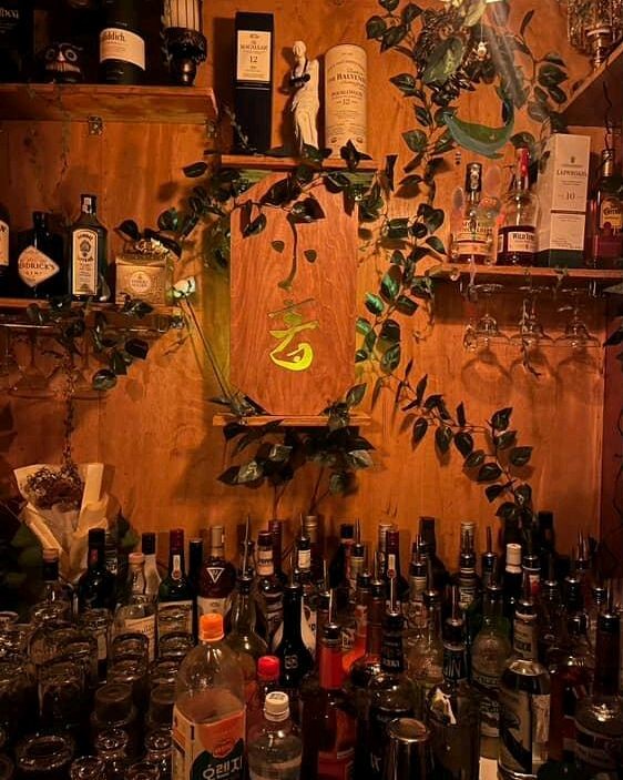 Jeju Ahop Solo Drinking Bar Seongsu