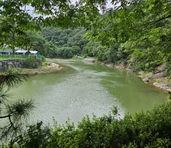 억순네