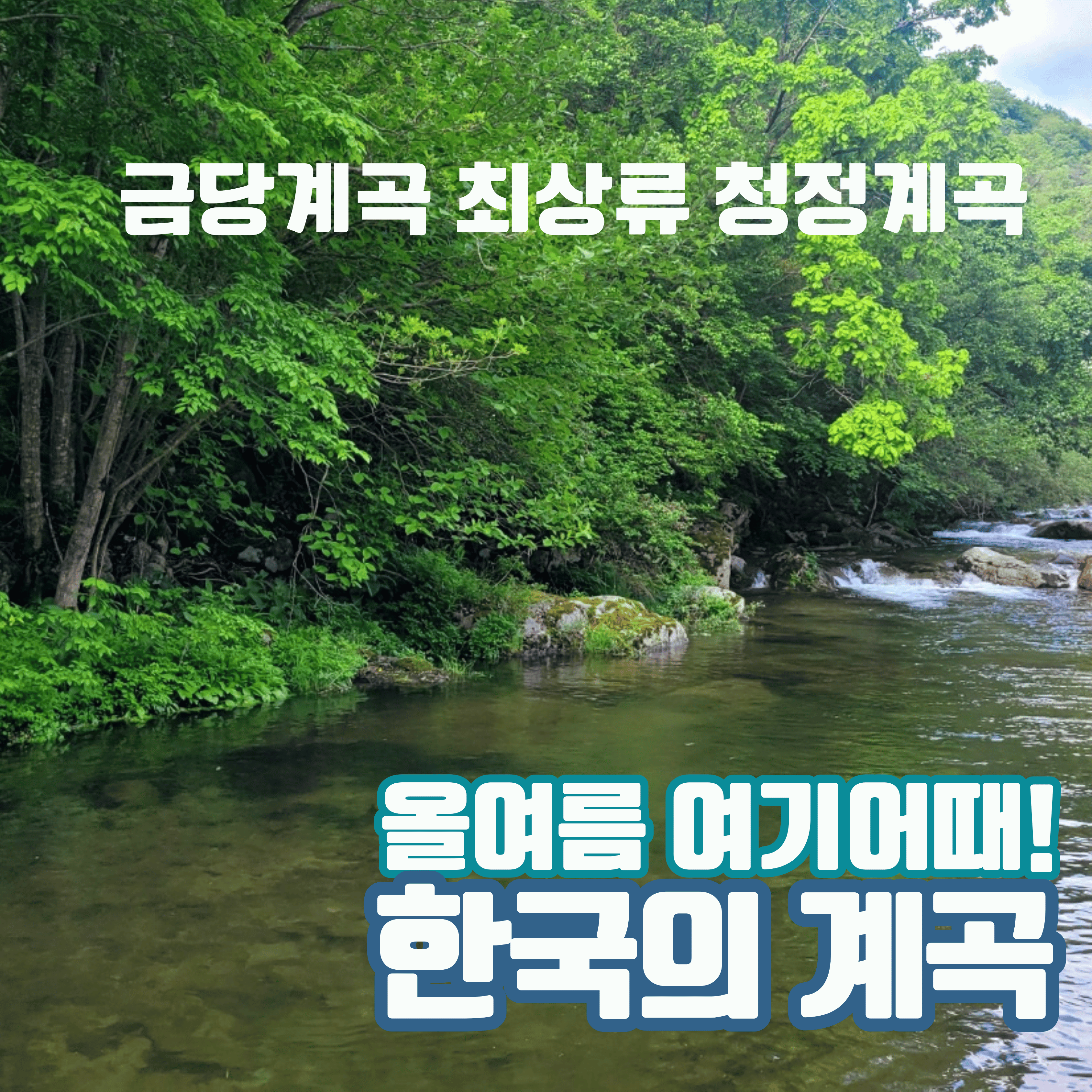 평창 별내림계곡캠핑장