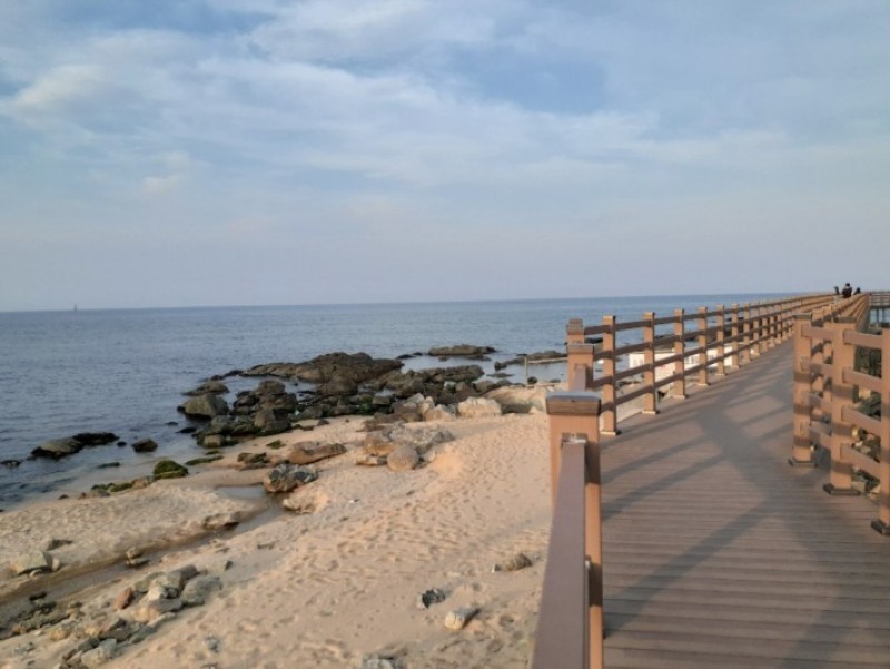 해오름독채펜션 4